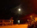 yellow moon