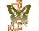 Golden batterfly