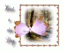 Have a nice Day