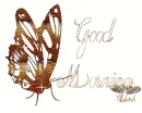Batterfly  Good Morning