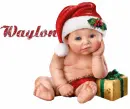 Waylon