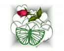 Red Rose in heart