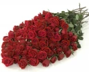 rosas