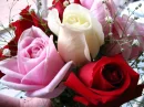 rosas