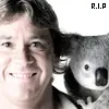 Steve Irwin