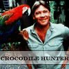steve irwin croc hunter