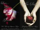 Twilight and New Moon Background