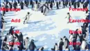 lovely penguins