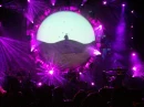 pink floyd