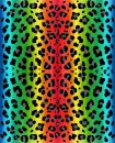 rainbow leopard print
