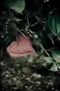 love in nature