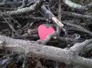 save the trees!!!!