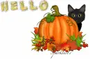  Kitten - Hello