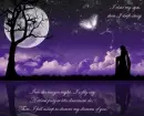 Violet dream nights