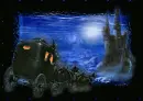 The night