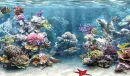 Underwater Fantasy