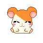 cute
