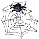 spider wink