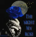The night My rose