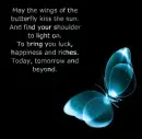 butterfly happiness