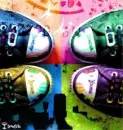 multicolored converse