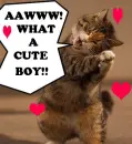 what a cute boy! :3