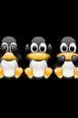 penguins