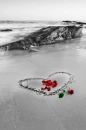 waves and roses