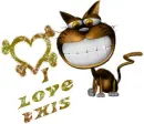 I love this-Cat