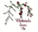 Chantale love it