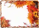 Fall