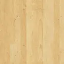 MAdera