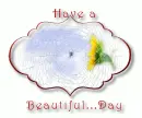 Have a beautiful Day
