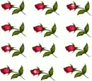Little roses