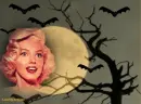 156.112010-halloweenfullmoonMMbats-sa