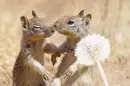 â¤SMoOcHiN' sQuiRReLSâ¤