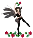 Fairy & Roses