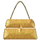 gold purse