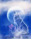 My wolf...