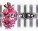 Good Day