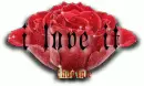 i love it
