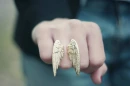 wings