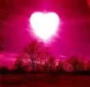 nature heart