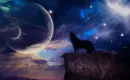 Wolf Howling 1