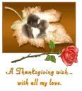 A Thanksgiving Wish