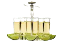 tequila bones