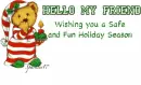 Safe and Fun Holiday 