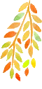 FALL LEAVES