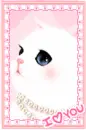 KITTY