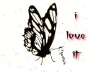 i love it